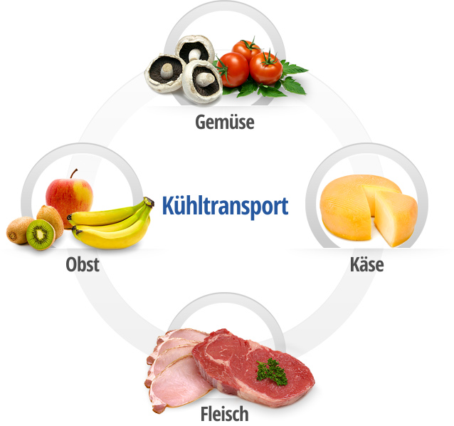 Spezialisierung